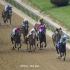 The Preakness Stakes